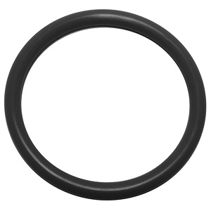 F 4.5 O-RING