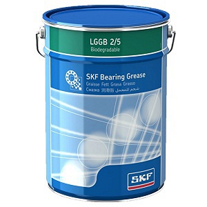 LGGB 2/5